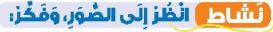 نشاط انظر إلى الصورة، وفكر